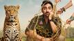 Pati Patni Aur Woh Do Box Office collection day 5: Will Ayushmann Khurrana’s film PASS Tuesday test?