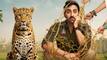 Pati Patni Aur Woh Do Box Office prediction: Ayushmann Khurrana EYES another comedy hit after Thamma?