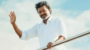 Thalapathy Vijay's career: Theri, Beast to Jana Nayagan; a look at TVK Chief's journey from cinema to politics