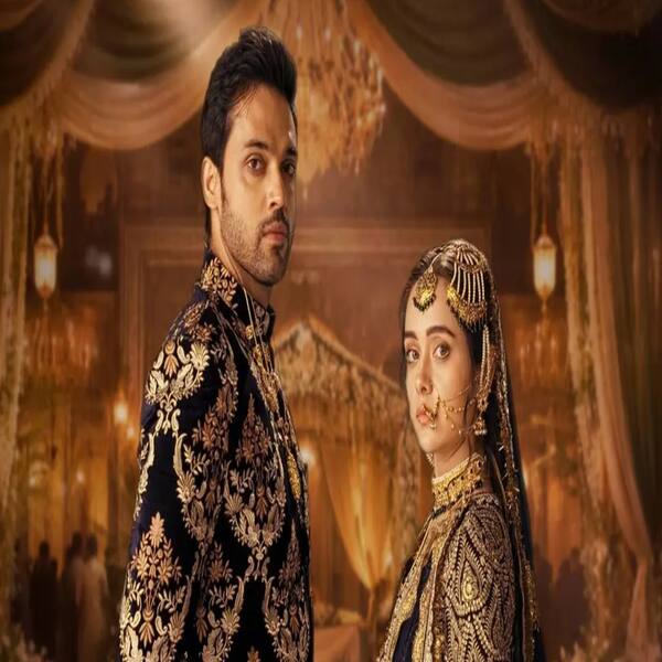 New Seher coming? Mallika Singh reportedly JOINS Seher Hone Ko Hai amid Rishita exit buzz