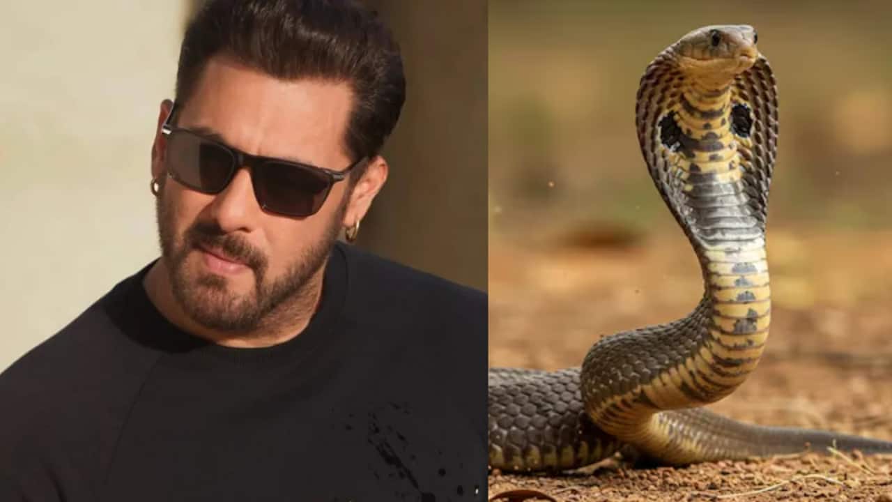 bollywoodlife.com top news
