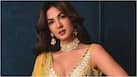 bollywoodlife.com photo