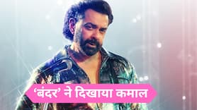 Bandar X Review: Bobby Deol की 'बंदर' ने मचाया धमाल, लोग बोले- 'ओटीटी पर आने का इंतजार मत करना'