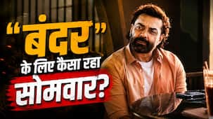 Bandar Box Office Collection Day 4: शानदार रिव्यू के बाद भी चौथे दिन सुस्त पड़ी 'बंदर' की रफ्तार, मंडे टेस्ट में क्या रहा हाल?