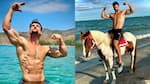 Connor Murphy death rumour: Fitness influencer's LAST Instagram post goes VIRAL, leaves fans heartbroken