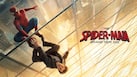 Spider-Man Brand New Day Box Office collection day 13: Tom Holland starrer SURPASSES Rs 500 crore gross in India