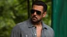 Will Salman Khan's Maatrubhumi release in 2026? Here's what's causing the delay
