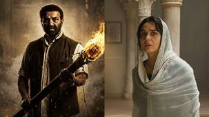 Batwara 1947 Cast Fees: मेकर्स ने पानी की तरह बहाया पैसा! सनी देओल या प्रीति जिंटा किसे मिली सबसे ज्यादा फीस?