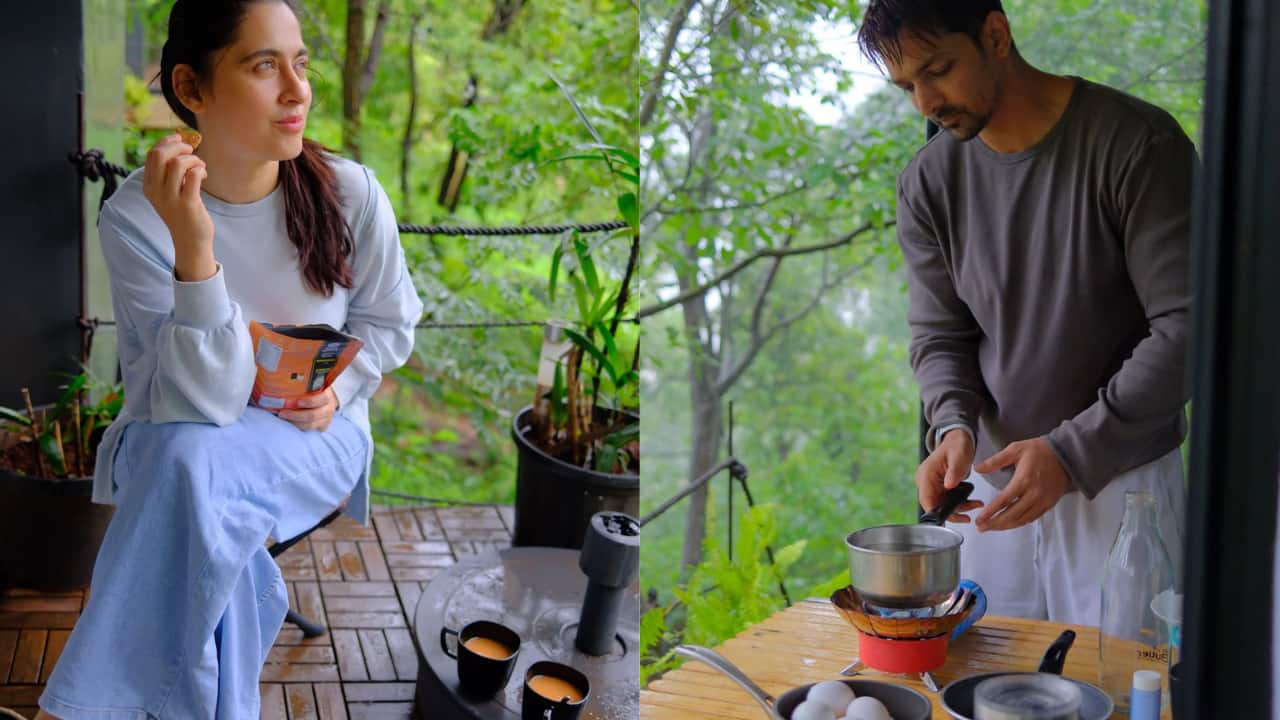 हर्षवर्धन राणे के साथ रिश्ते में हैं संजीदा शेख? दोनों की इन फोटोज के वायरल होते ही लगीं अटकलें