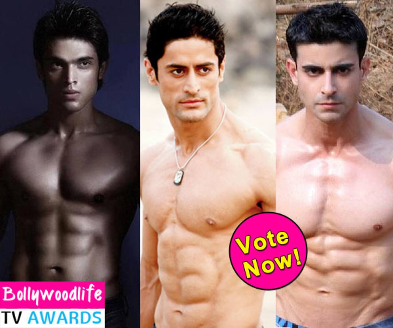 BollywoodLife TV Awards 2015: Gautam Rode, Mohit Raina, Parth Samthaan – who is the hottest TV actor? Vote!