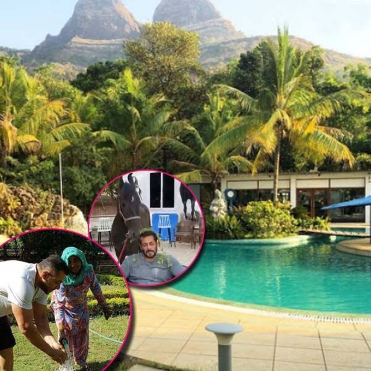 Salman Khan S Panvel Farmhouse Seems Like A Perfect Place To Chill It stated that the ownership rights of the property, called arpita farms, located at wajapur area of panvel, rest with salman khan, his sisters alvira and arpita, brothers arbaaz and sohail and mother helen.