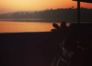 Alia Bhatt shares a picture of beautiful scene in Goa