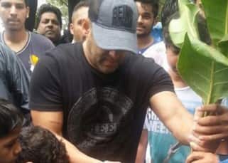 Salman Khan planted trees as a part of BMC's initiative in Mumbai, see pics!