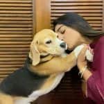 Yeh Rishta Kya Kehlata Hai: Mohena Kumari Singh lavishes love on her cute-as-a-button beagle as he turns six