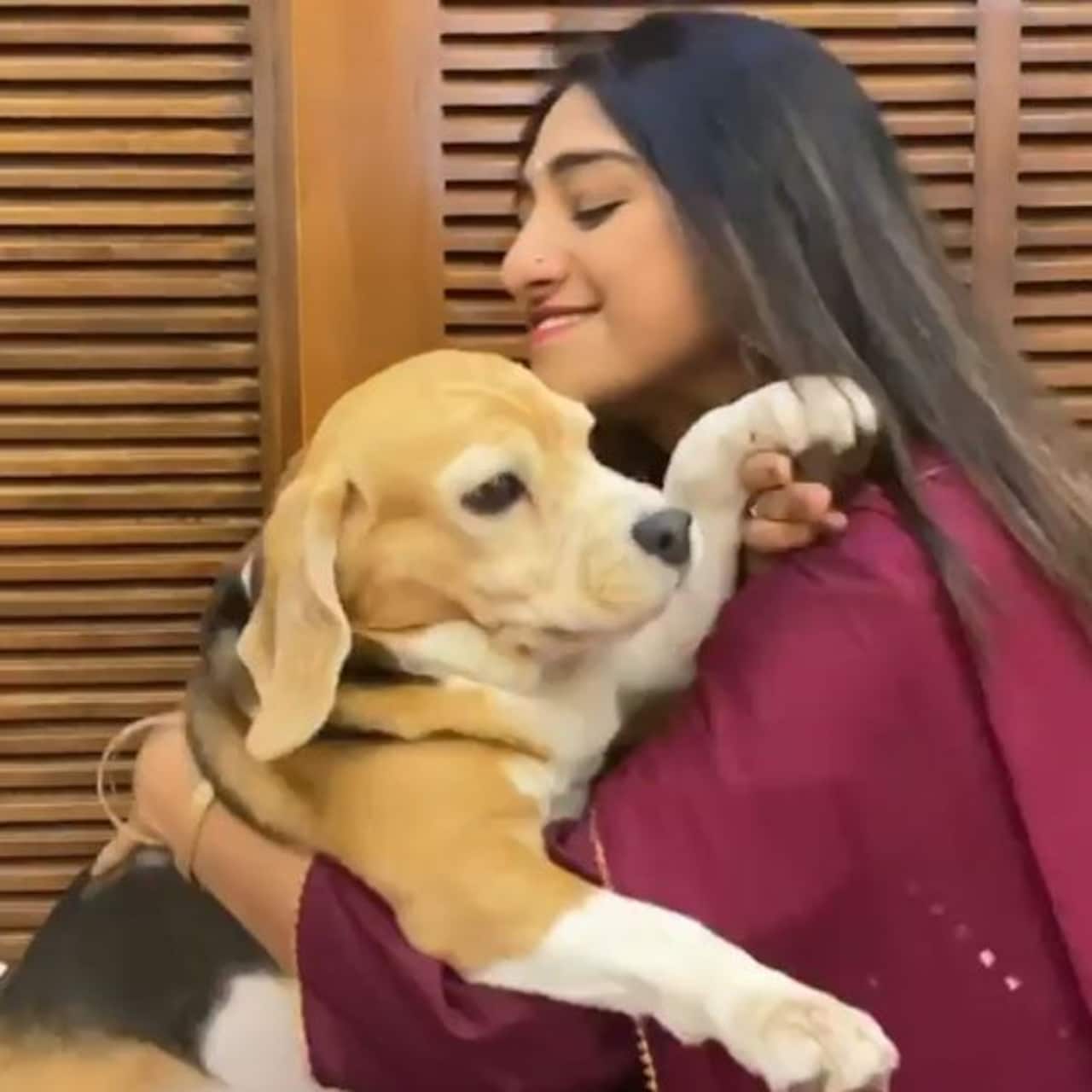 Yeh Rishta Kya Kehlata Hai Mohena Kumari Singh lavishes love on her cuteasabutton beagle as
