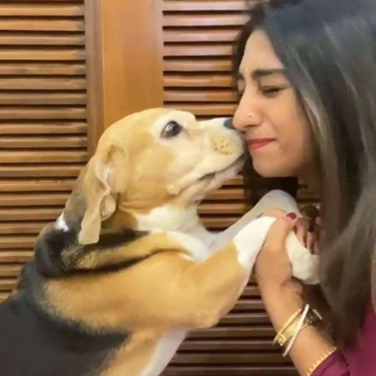 Yeh Rishta Kya Kehlata Hai Mohena Kumari Singh lavishes love on her cuteasabutton beagle as